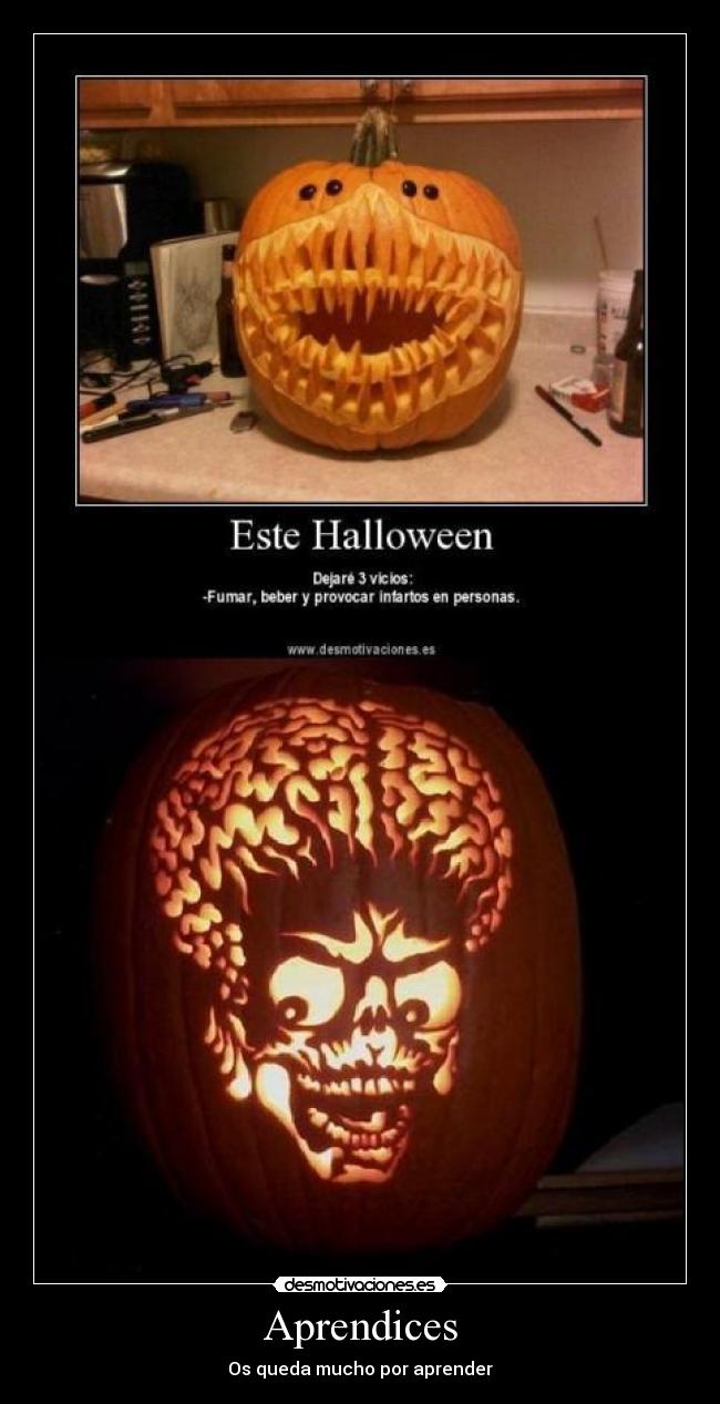 Aprendices - Os queda mucho por aprender