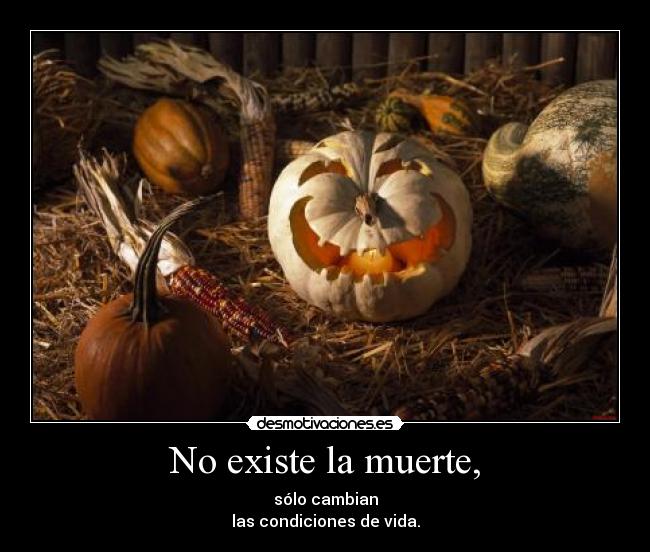 No existe la muerte, - sólo cambian
las condiciones de vida.
