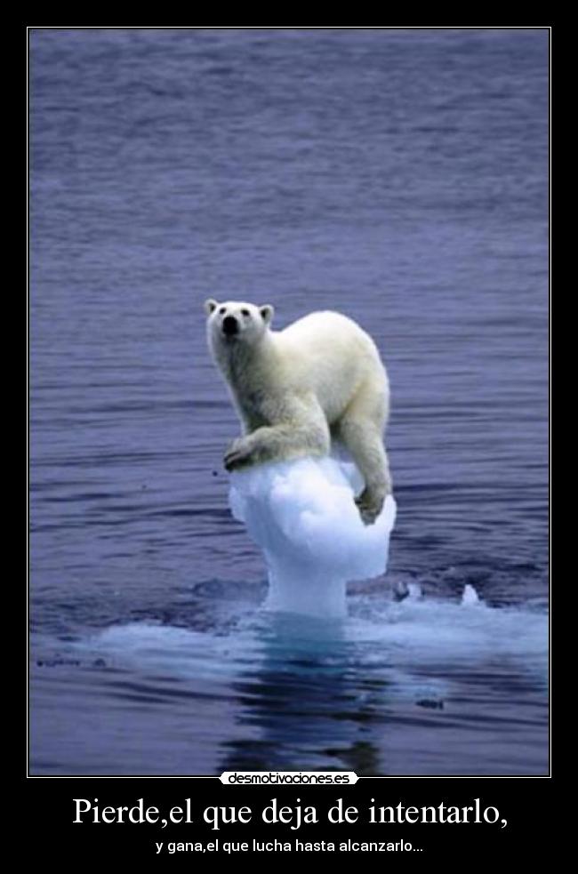 Pierde,el que deja de intentarlo, - y gana,el que lucha hasta alcanzarlo...