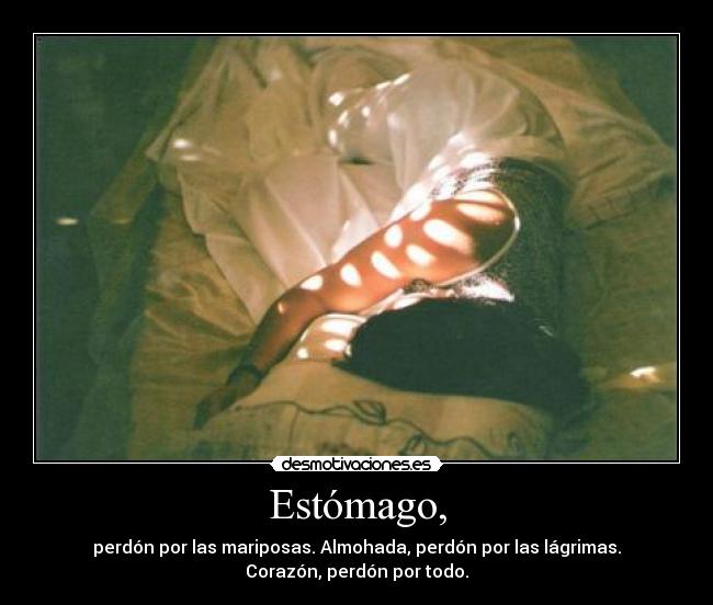 Estómago, - perdón por las mariposas. Almohada, perdón por las lágrimas.
Corazón, perdón por todo.