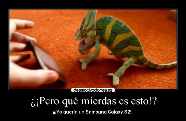 carteles cama cama cama cama cama camaleon ugn2010 resubido pregunten por que desmotivaciones