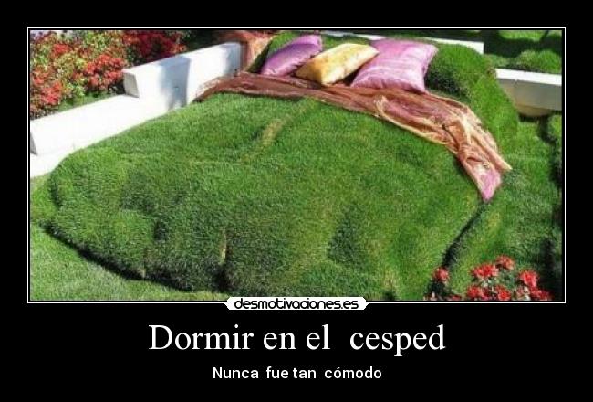 Dormir en el cesped - Nunca fue tan cómodo