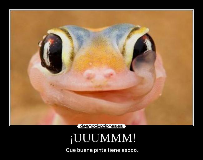 ¡UUUMMM! - Que buena pinta tiene esooo.