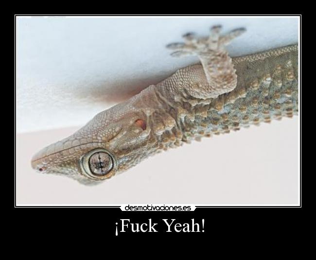 carteles salamanquesa desmotivaciones