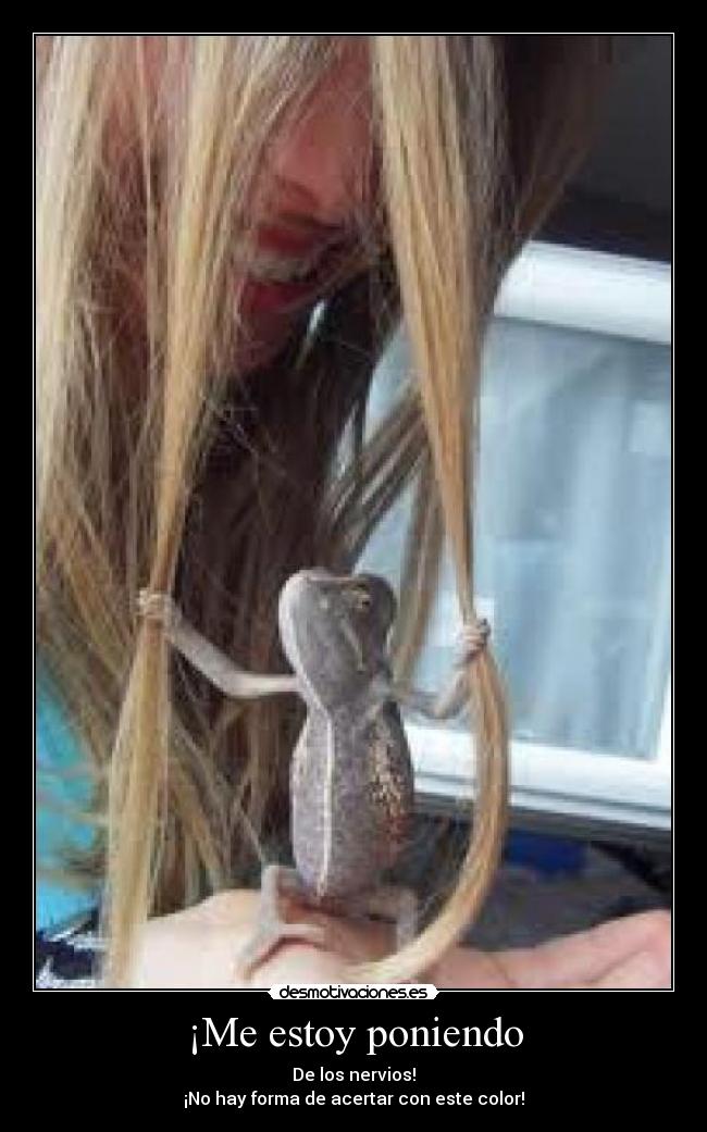 ¡Me estoy poniendo -