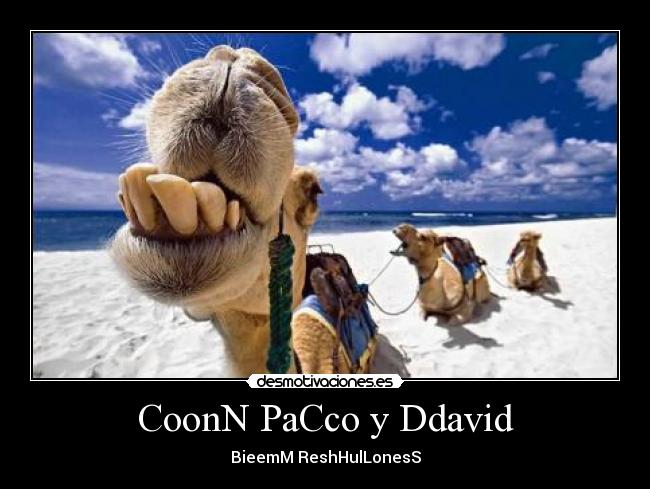 CoonN PaCco y Ddavid - 