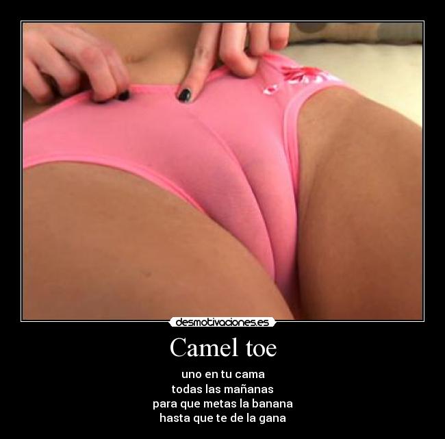 Camel toe - uno en tu cama
todas las mañanas
para que metas la banana
hasta que te de la gana