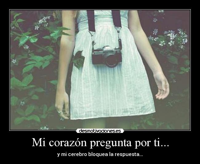 Mi corazón pregunta por ti... - y mi cerebro bloquea la respuesta...