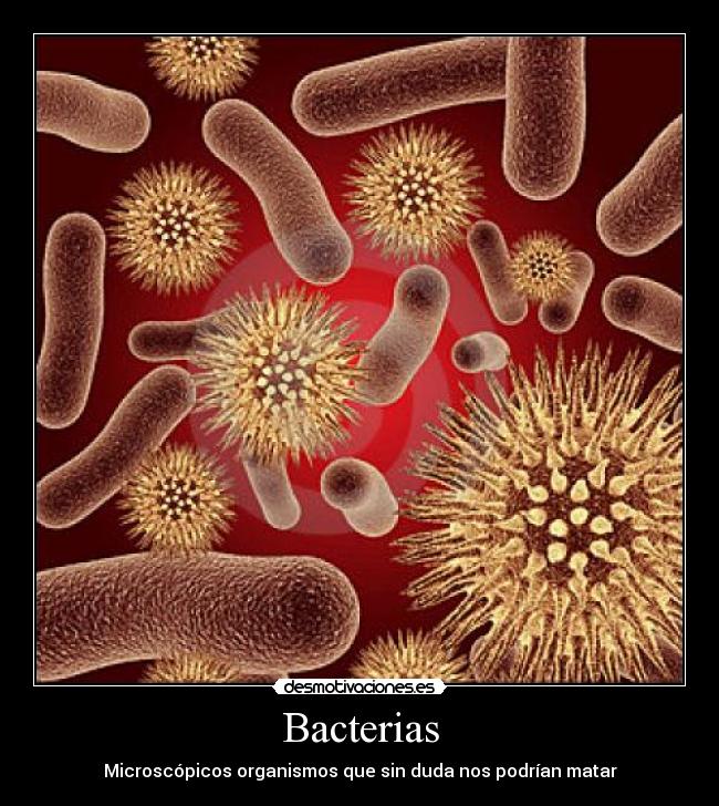 carteles bacterias desmotivaciones