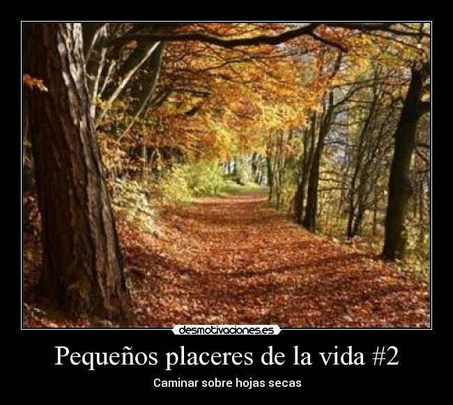 Pequeños placeres de la vida #2 - 