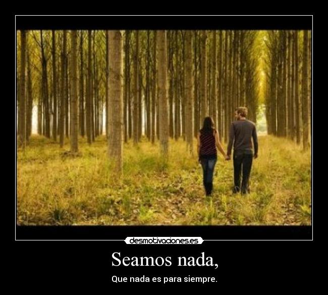 Seamos nada, - 