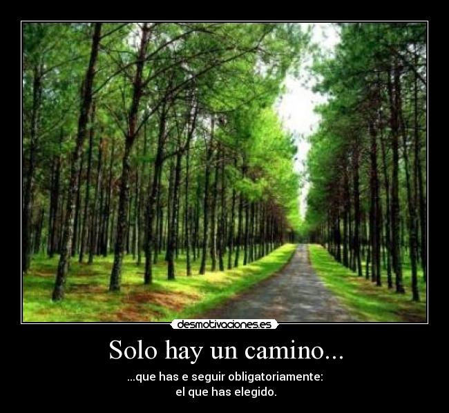 Solo hay un camino... - ...que has e seguir obligatoriamente:
el que has elegido.