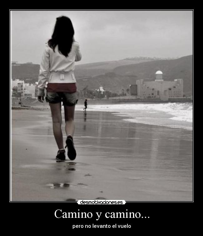 Camino y camino... - pero no levanto el vuelo