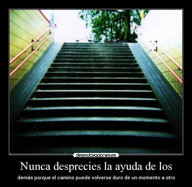 Nunca desprecies la ayuda de los -