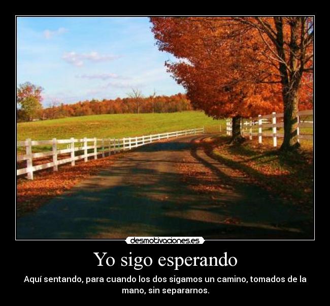 Yo sigo esperando - Aquí sentando, para cuando los dos sigamos un camino, tomados de la
mano, sin separarnos.
