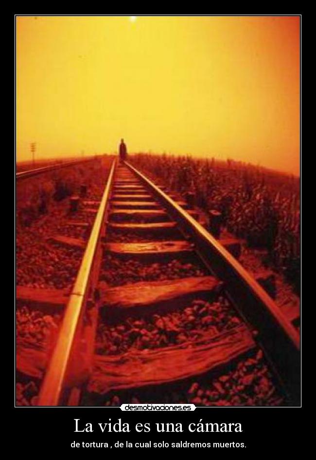 La vida es una cámara - de tortura , de la cual solo saldremos muertos.