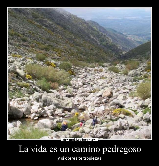 La vida es un camino pedregoso -