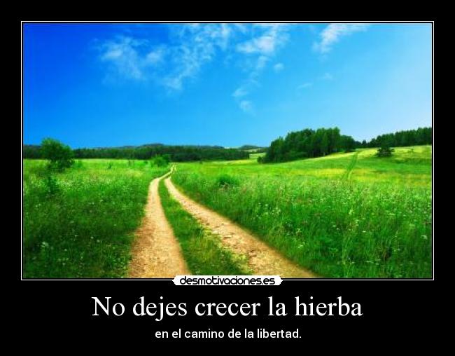 No dejes crecer la hierba - en el camino de la libertad.