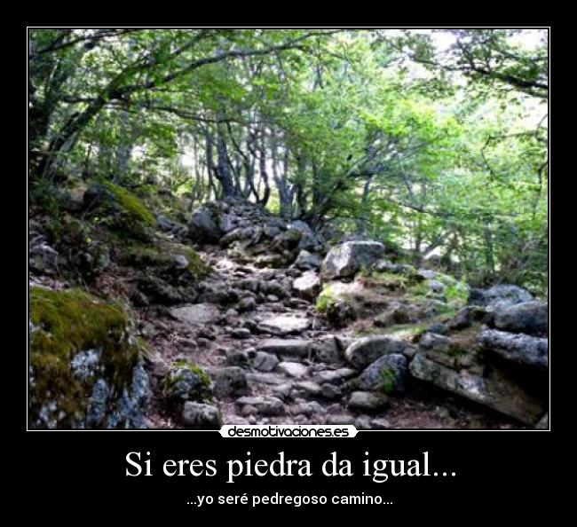 carteles marea duerme conmigo piedra pedregoso camino desmotivaciones