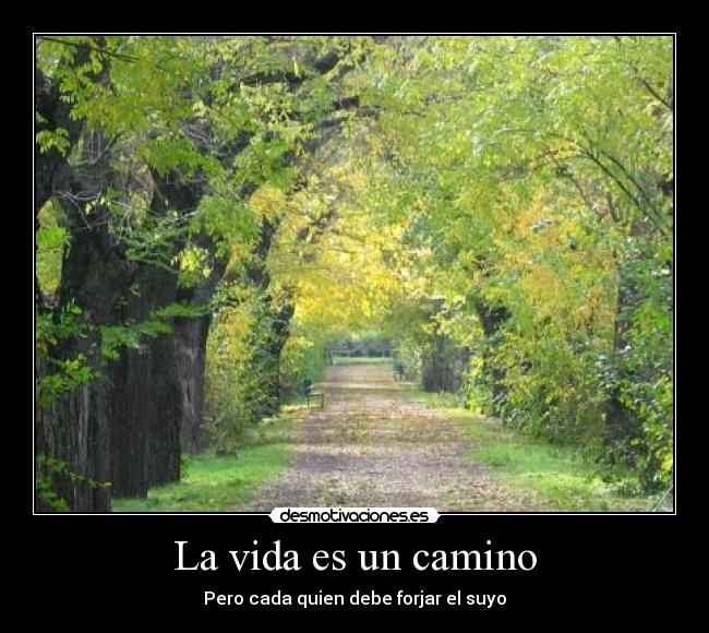 La vida es un camino - 