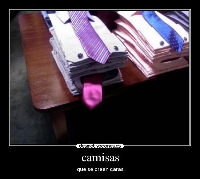 camisas - 