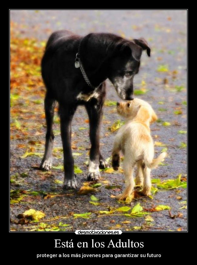 carteles alexiel utopias permanentes desmotivaciones