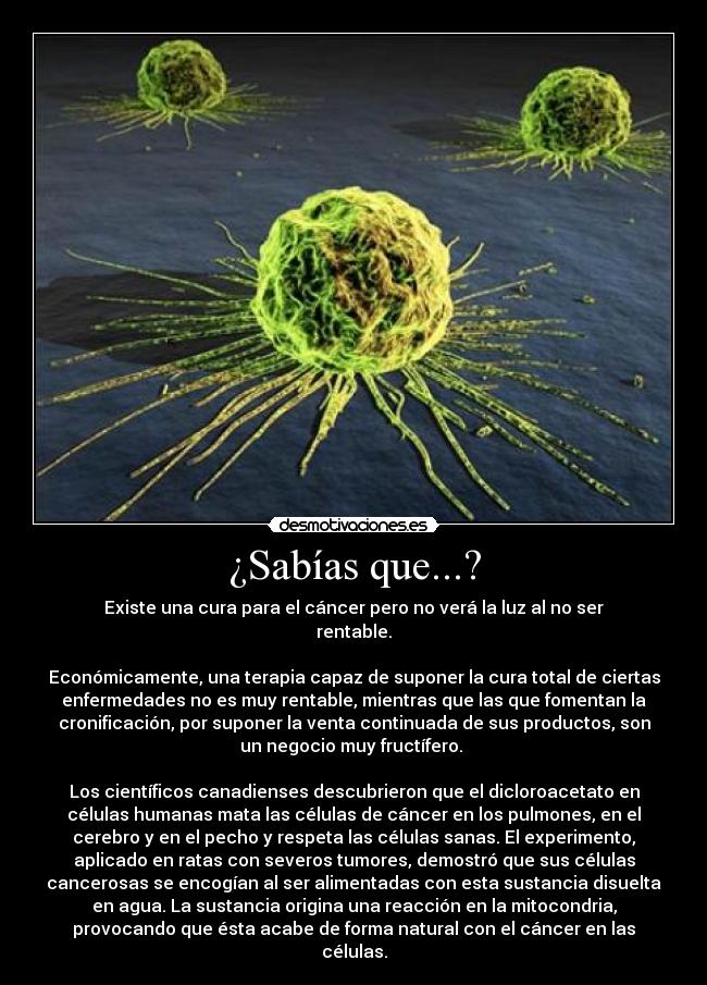 ¿Sabías que...? - Existe una cura para el cáncer pero no verá la luz al no ser
rentable.

Económicamente, una terapia capaz de suponer la cura total de ciertas
enfermedades no es muy rentable, mientras que las que fomentan la
cronificación, por suponer la venta continuada de sus productos, son
un negocio muy fructífero. 

Los científicos canadienses descubrieron que el dicloroacetato en
células humanas mata las células de cáncer en los pulmones, en el
cerebro y en el pecho y respeta las células sanas. El experimento,
aplicado en ratas con severos tumores, demostró que sus células
cancerosas se encogían al ser alimentadas con esta sustancia disuelta
en agua. La sustancia origina una reacción en la mitocondria,
provocando que ésta acabe de forma natural con el cáncer en las
células.