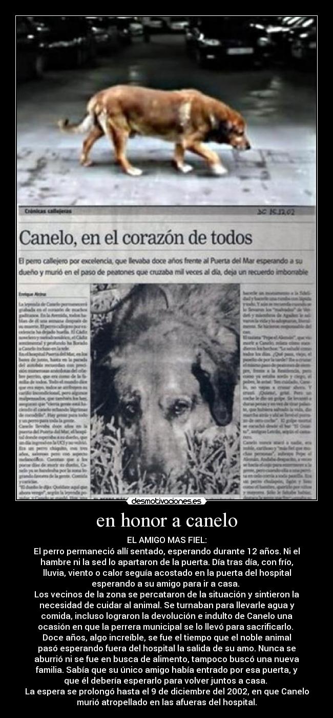 en honor a canelo - 