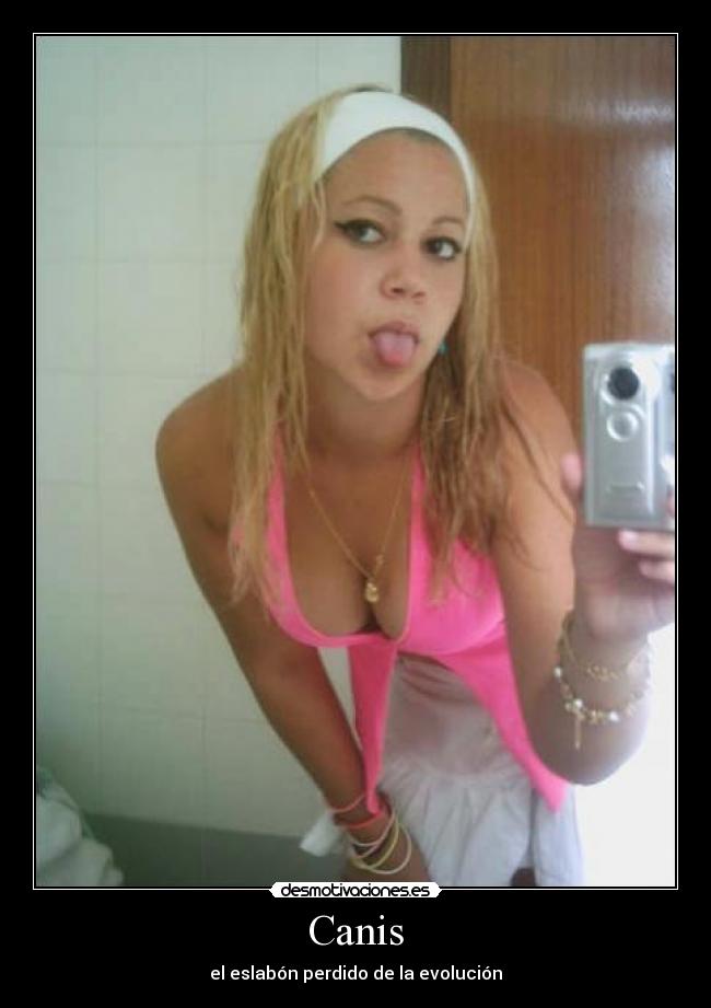 Canis - el eslabón perdido de la evolución