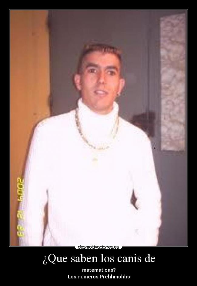 ¿Que saben los canis de -