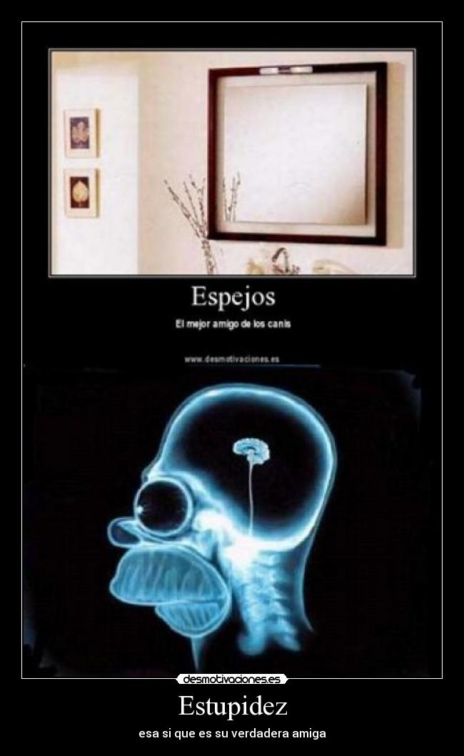 Estupidez - esa si que es su verdadera amiga