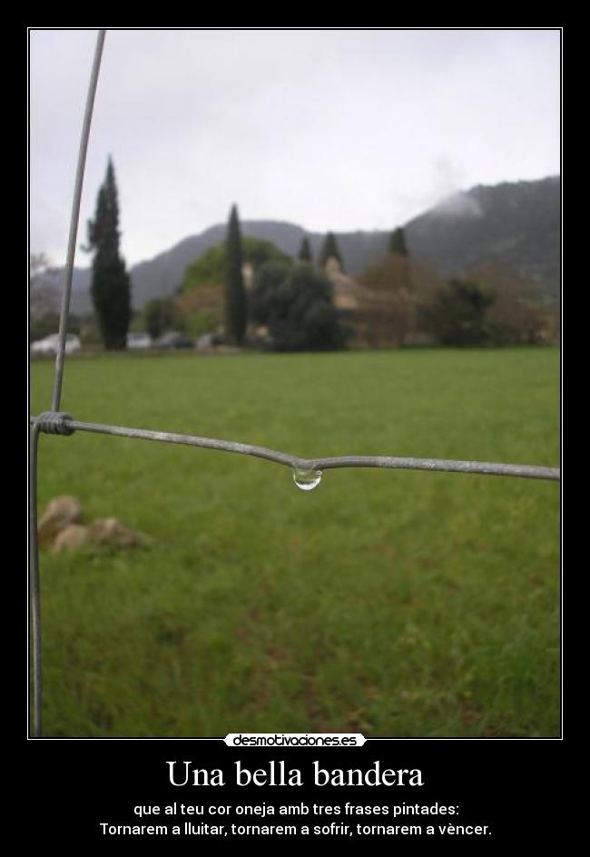 Una bella bandera - que al teu cor oneja amb tres frases pintades:
Tornarem a lluitar, tornarem a sofrir, tornarem a vèncer.