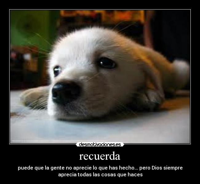 carteles dios recuerda desmotivaciones