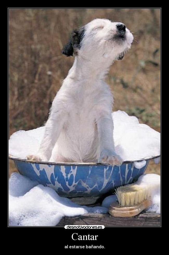 Cantar -