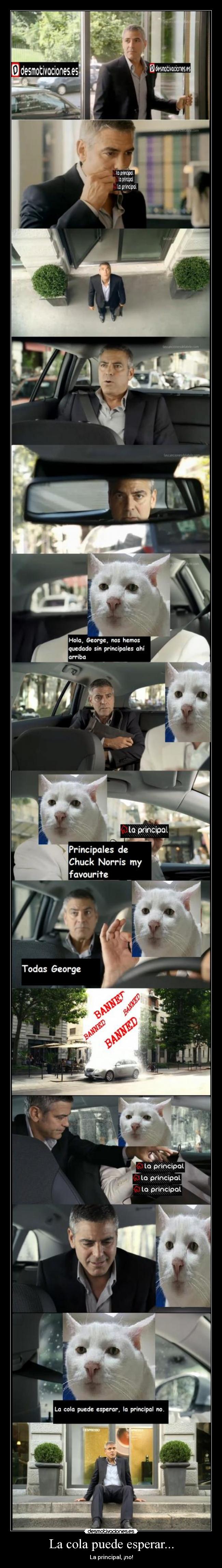 carteles waltk sus principales desmotivaciones