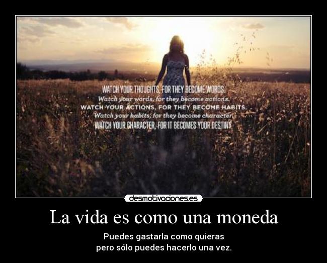 carteles vida vida moneda desmotivaciones