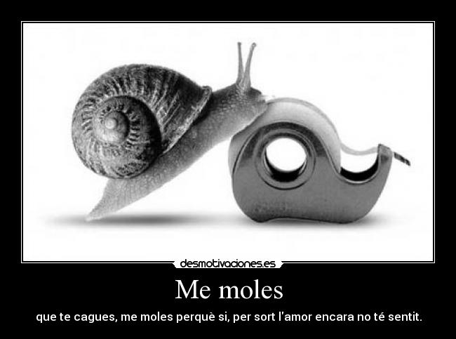 Me moles - 