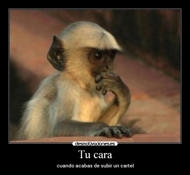 Tu cara - cuando acabas de subir un cartel