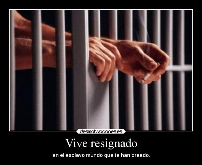 Vive resignado - en el esclavo mundo que te han creado.