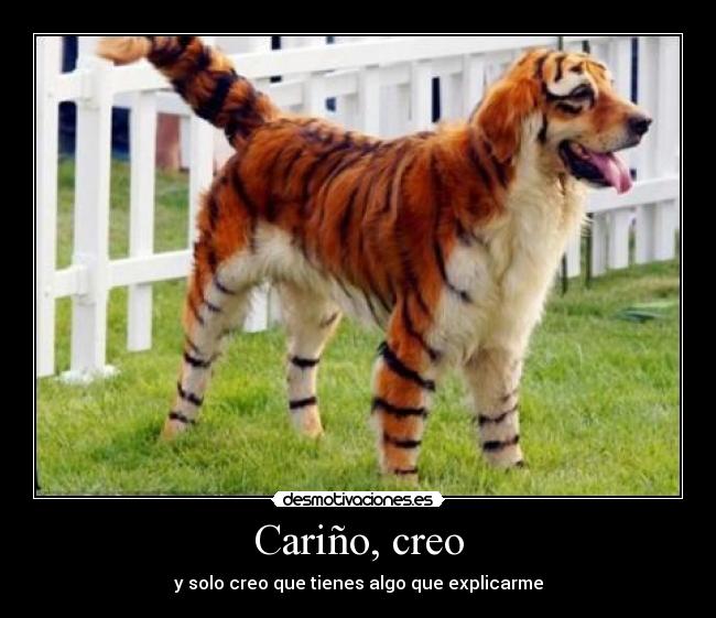 Cariño, creo - y solo creo que tienes algo que explicarme