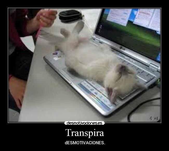 Transpira - dESMOTIVACIONES.