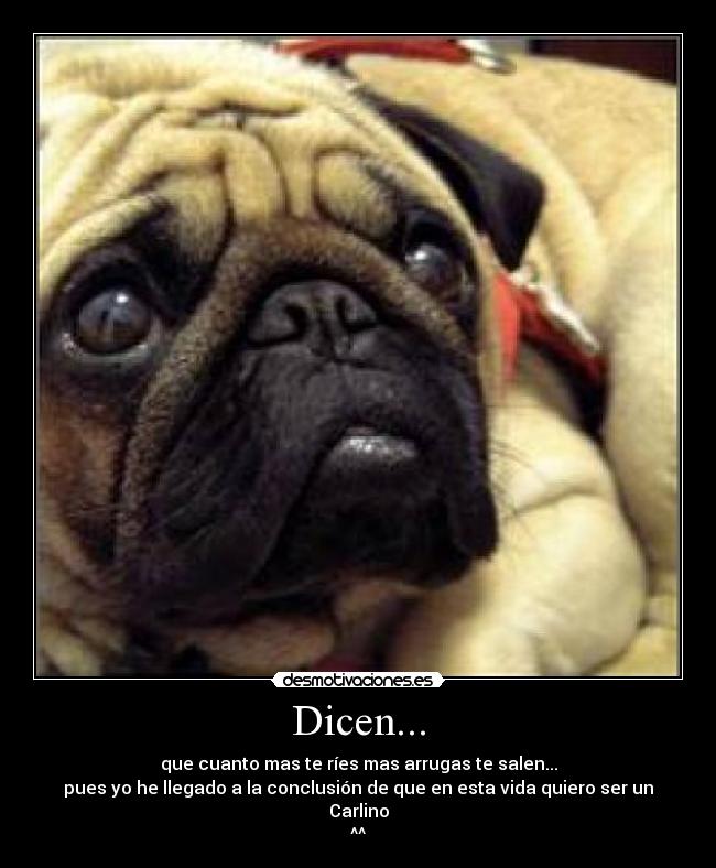 Dicen... -