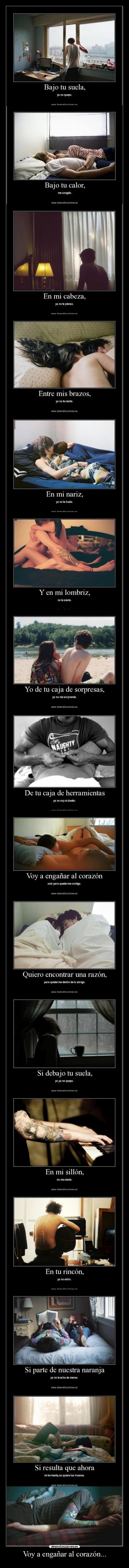 Voy a engañar al corazón... -