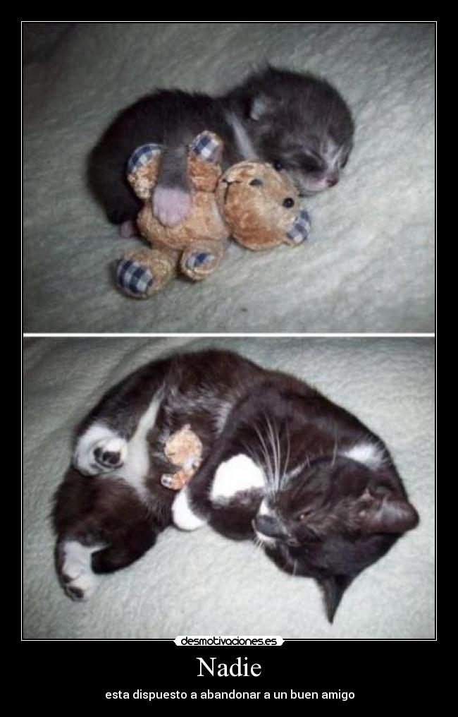 Nadie - esta dispuesto a abandonar a un buen amigo