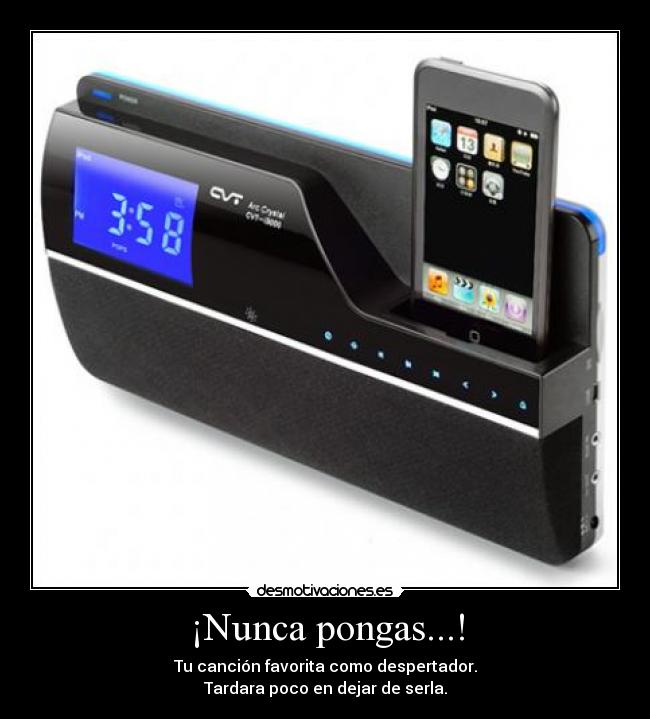 ¡Nunca pongas...! - 