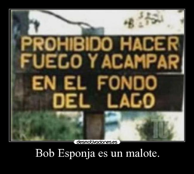 Bob Esponja es un malote. - 