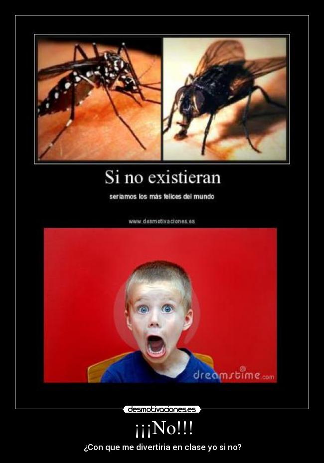 ¡¡¡No!!! - 