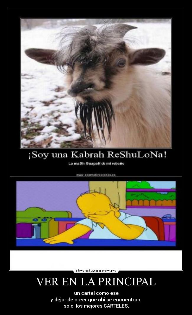 VER EN LA PRINCIPAL - 