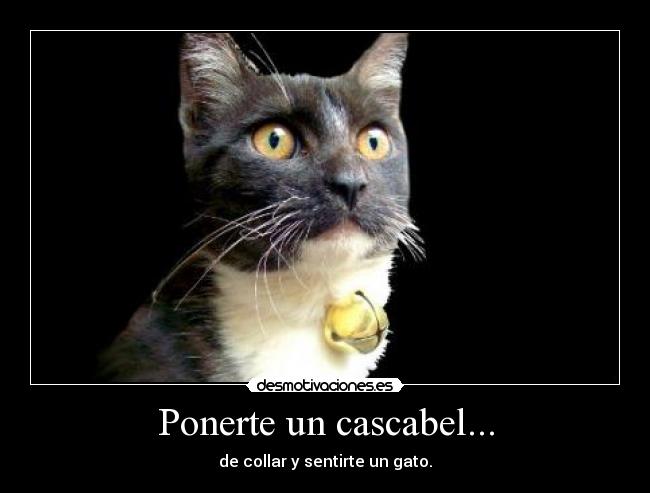 Ponerte un cascabel... - de collar y sentirte un gato.