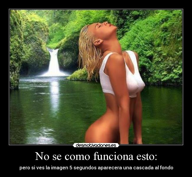 No se como funciona esto: -